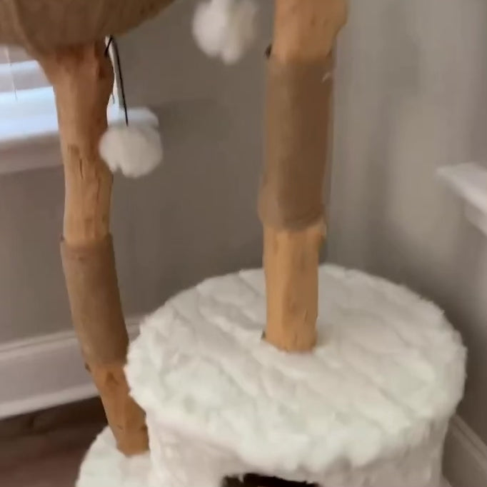 Video of a cat being pet